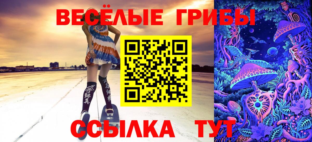 Галлюциногенные грибы мухоморы  Вход с VPN  Заринск 