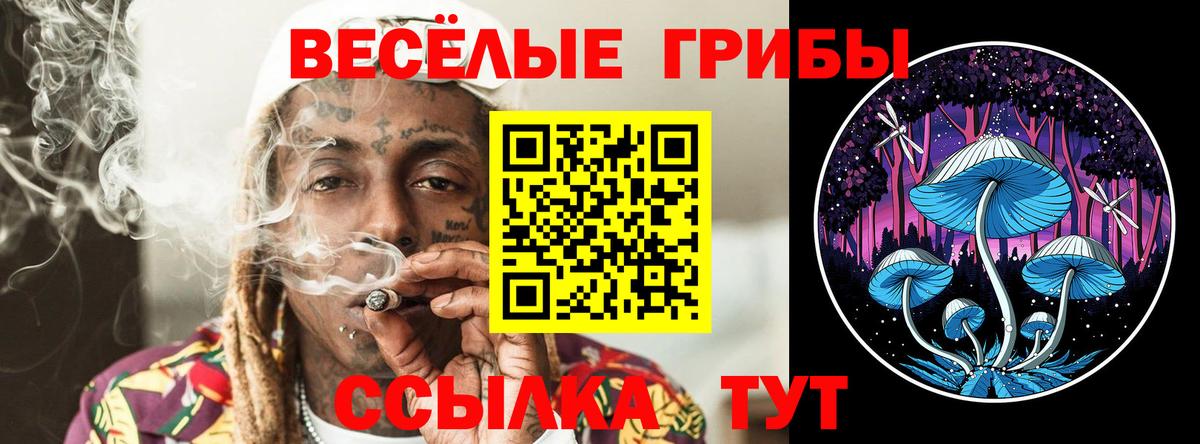 Галлюциногенные грибы MAGIC MUSHROOMS Заринск